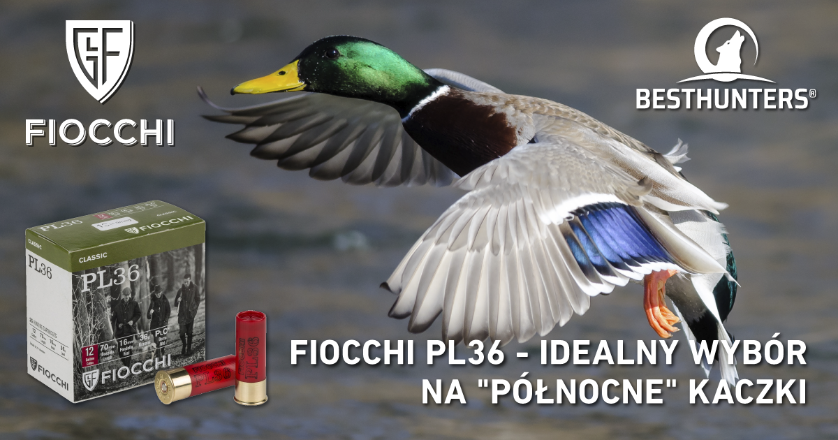 Fiocchi amunicja na kaczki